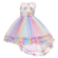 Robe de fête de robe Puff Princess brodée